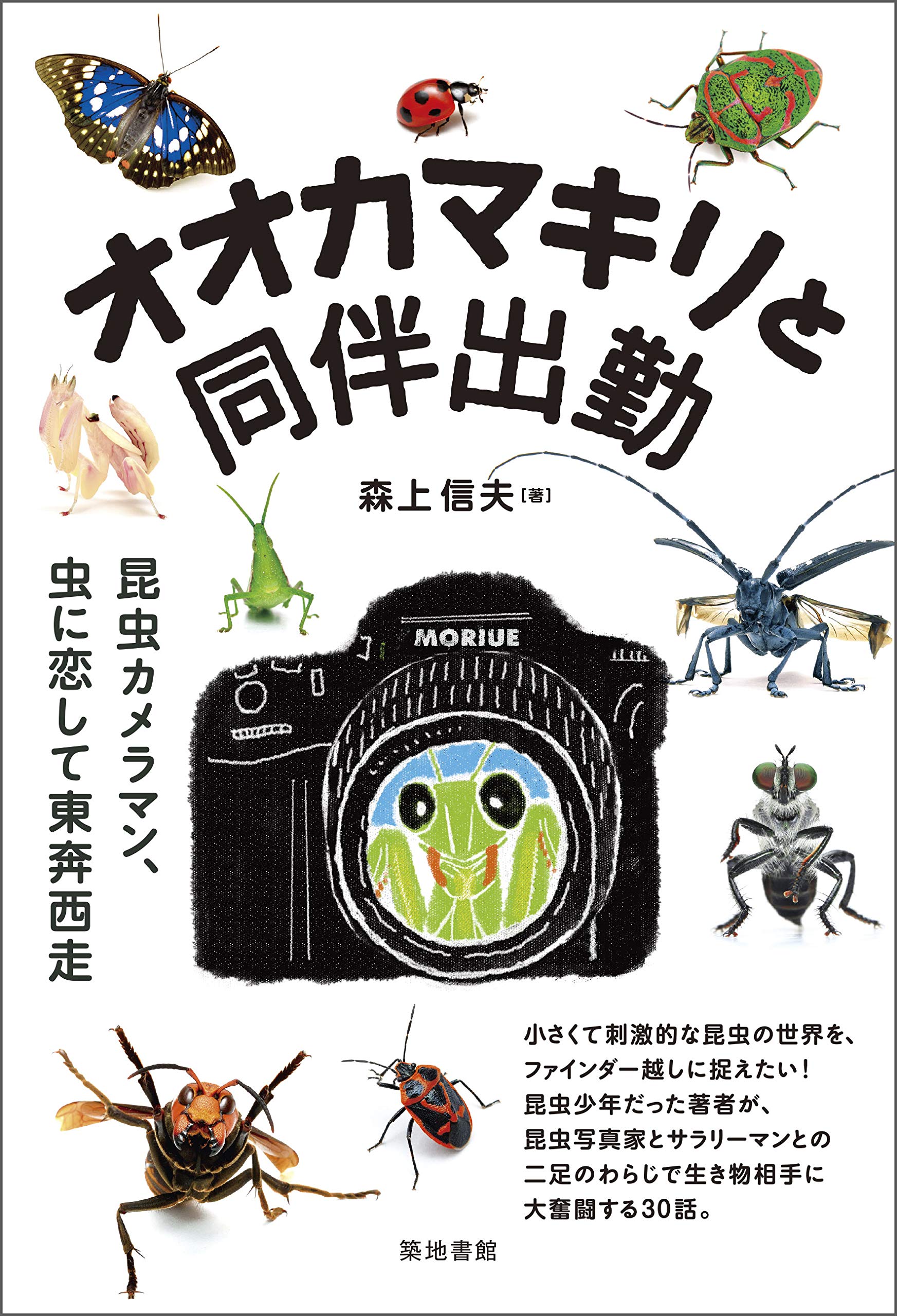オオカマキリと同伴出勤―昆虫カメラマン、虫に恋して東奔西走 | 森上