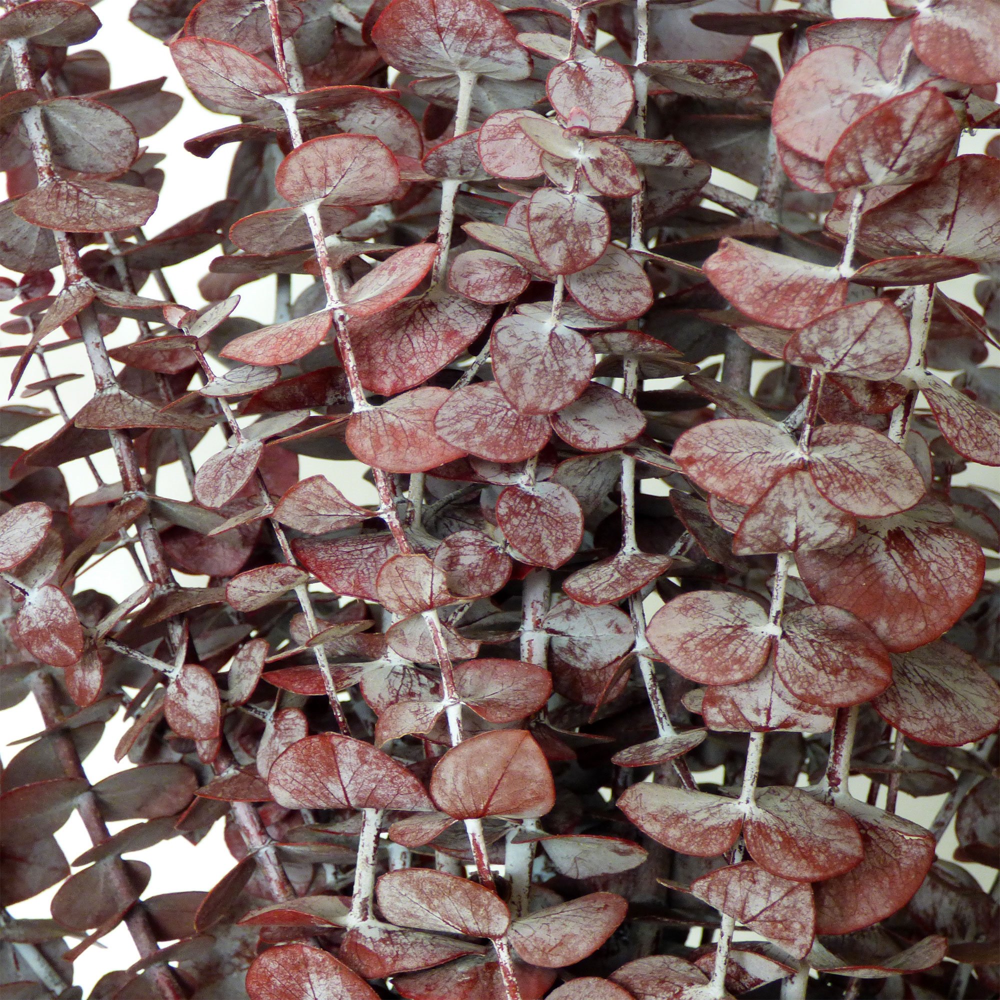 NETTLETON HOLLOW Red Eucalyptus Branches, 16 Oz.