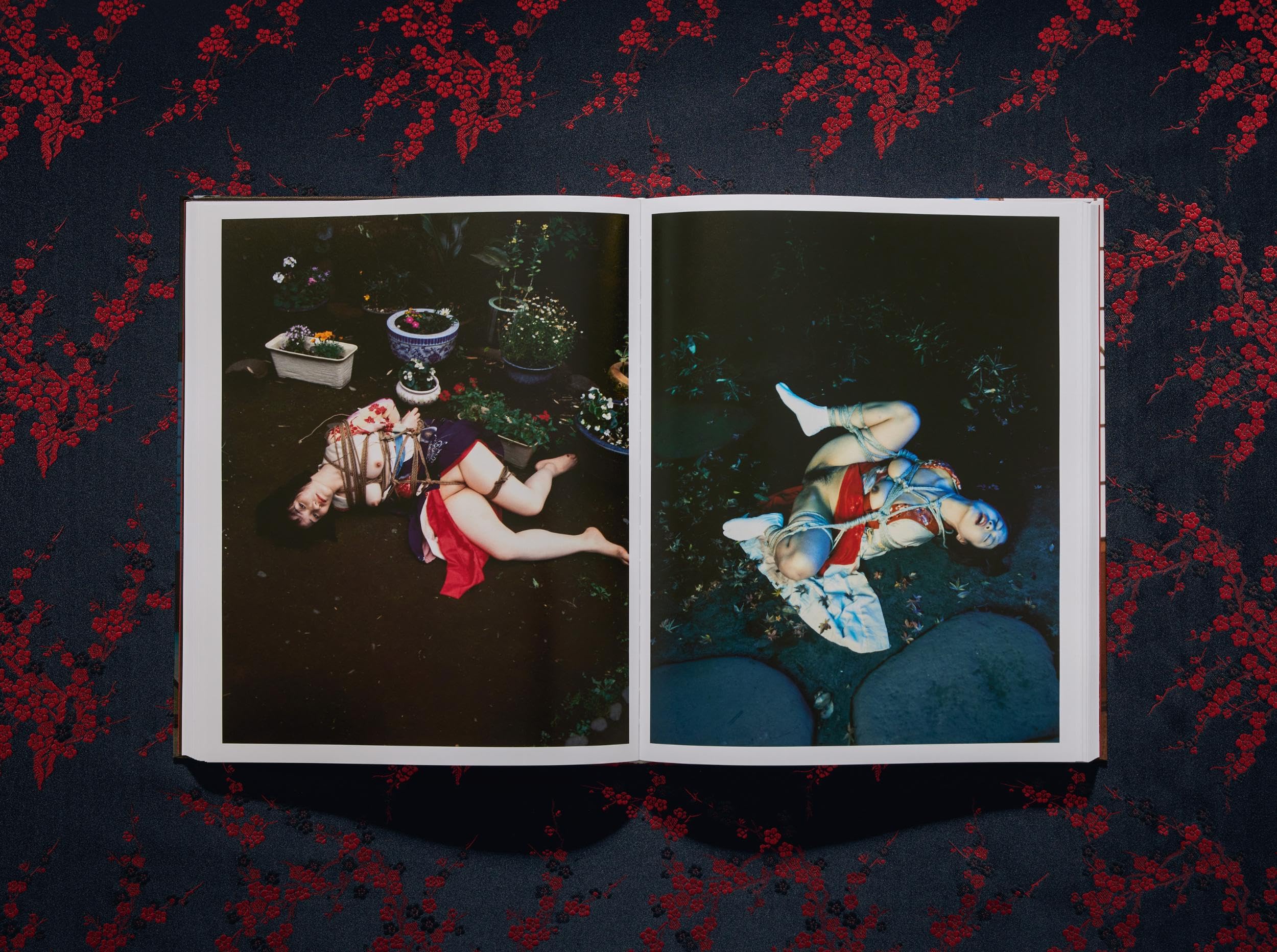 Araki: Bondage
