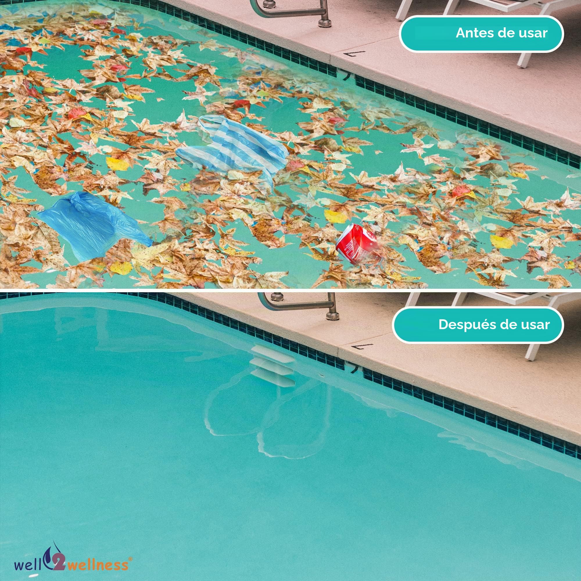 well2wellness Set de Skimmer de Piscina S1 – Juego de Skimmer de Superficie para Piscinas, Incluye Boquilla de Entrada | Juego completo, incluye boquilla de entrada