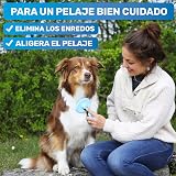 Ver la foto 6