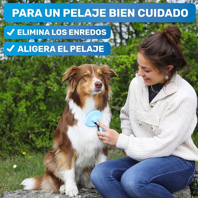 Foto 6 de 7 de BluePet Cepillo Autolimpiante Perros Gatos Pelo Largo, Contra Subpelo Nudos