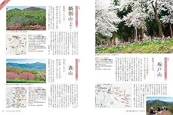 山と溪谷 2024年4月号「全国 花と新緑の名低山」 | 山と溪谷編集