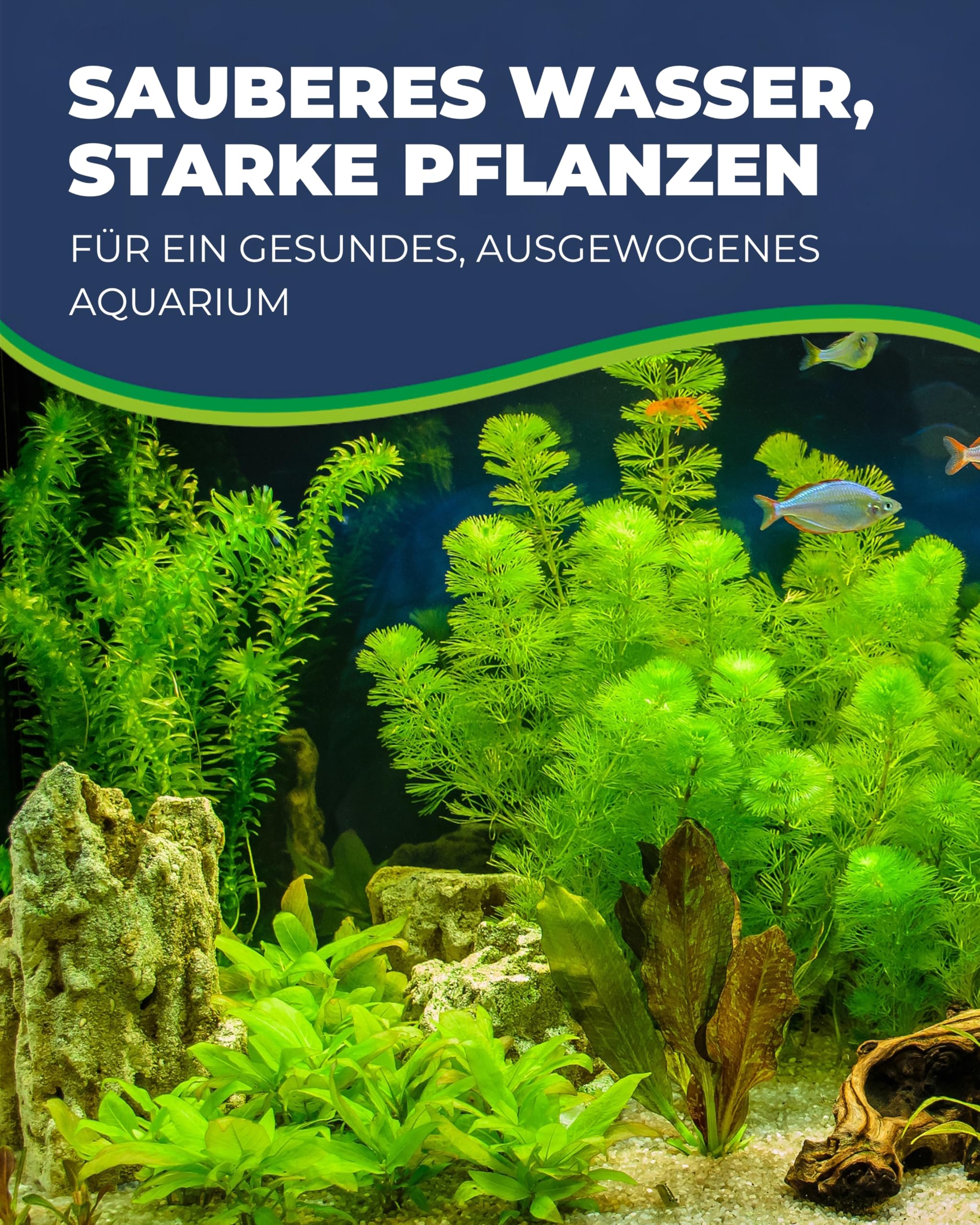 HOBBY Aquaristik Plant Fit I 500 ml I Flüssigdünger für Aquarienpflanzen I ohne Nitrat & Phosphat I Fördert gesunden Wuchs und kräftige Farben I Pflanzenvolldünger mit langanhaltender Wirkung