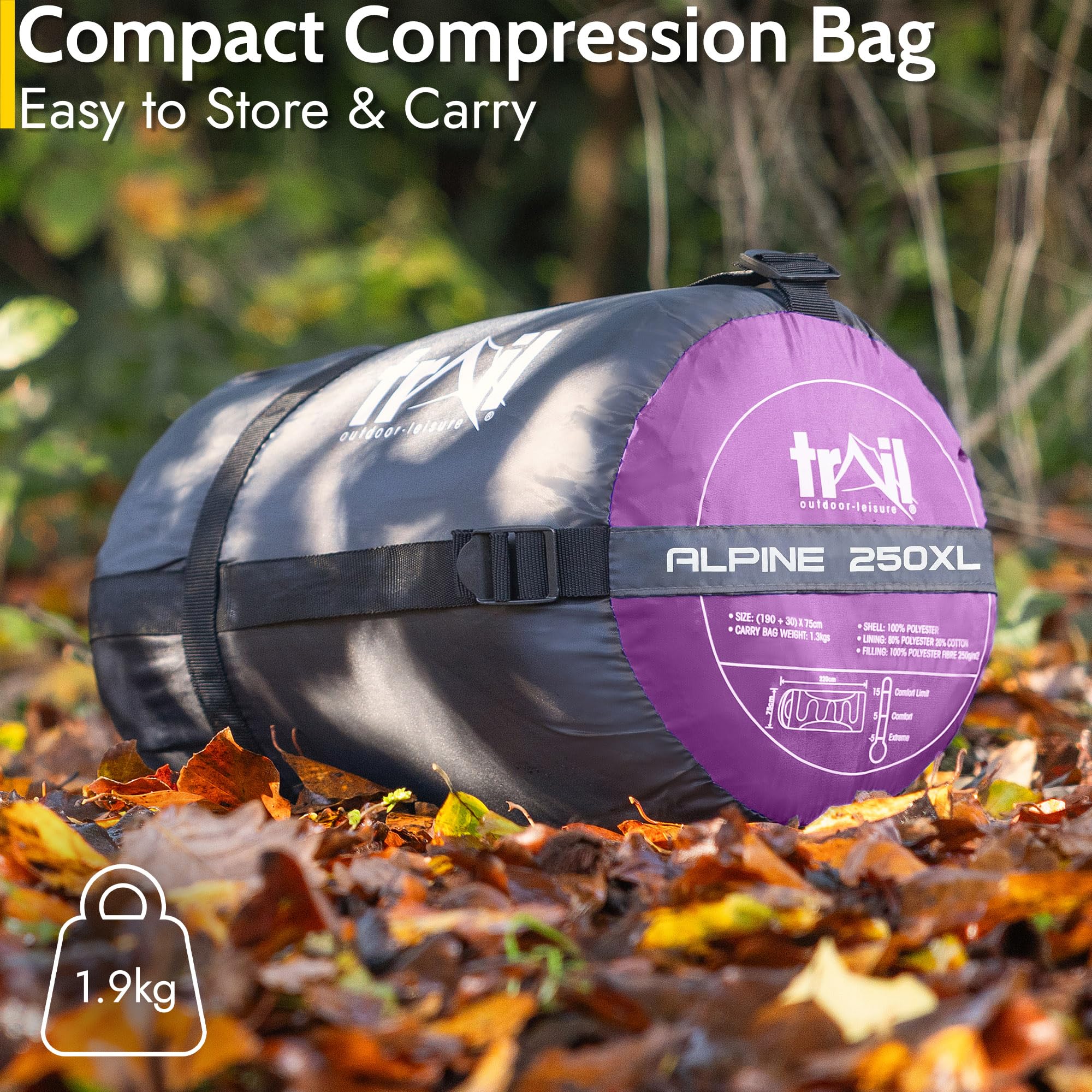 View 6
