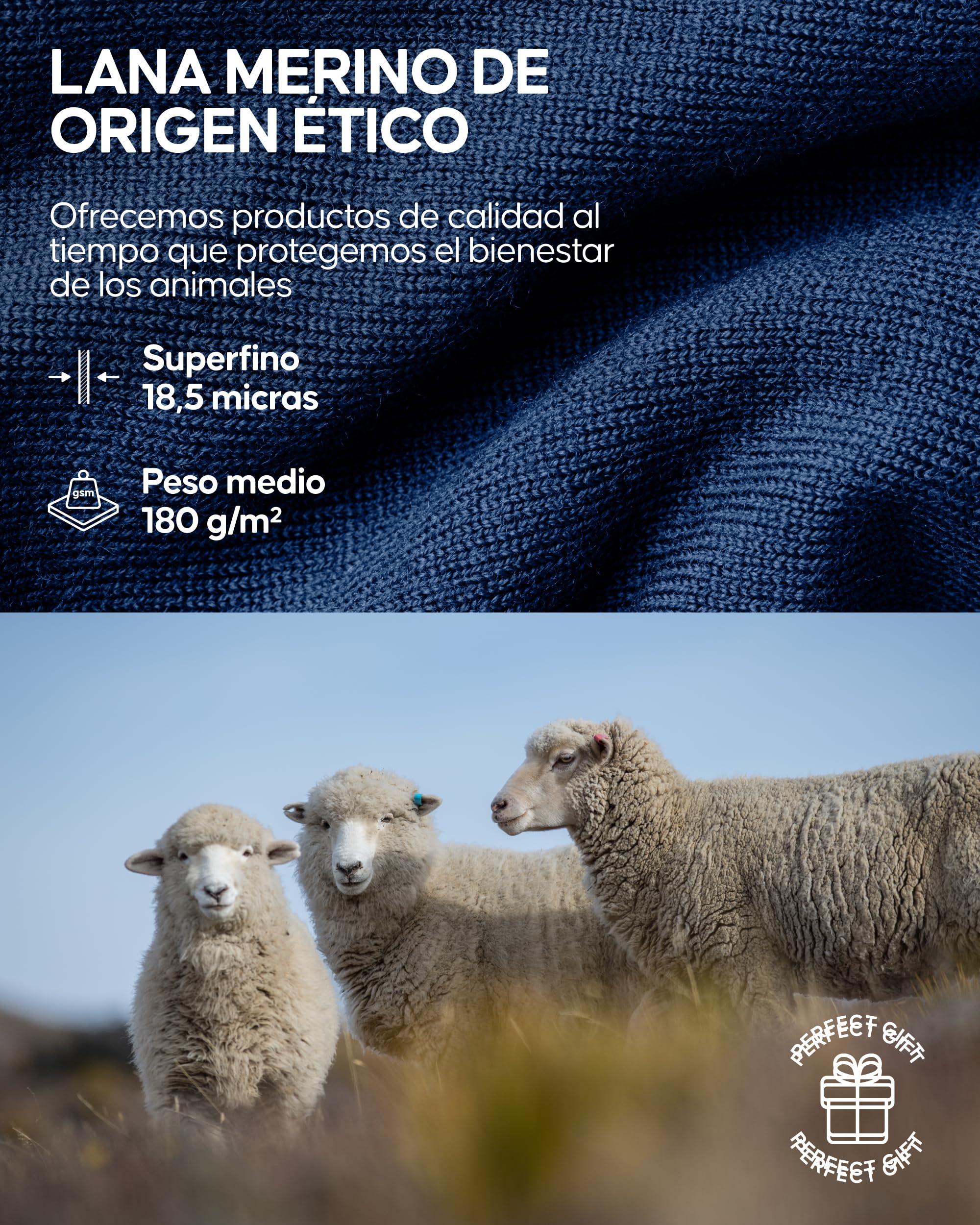 DANISH ENDURANCE Conjunto Térmico Lana Merino Hombre, Camiseta Térmica y Pantalon, Ropa Interior Lana Merino