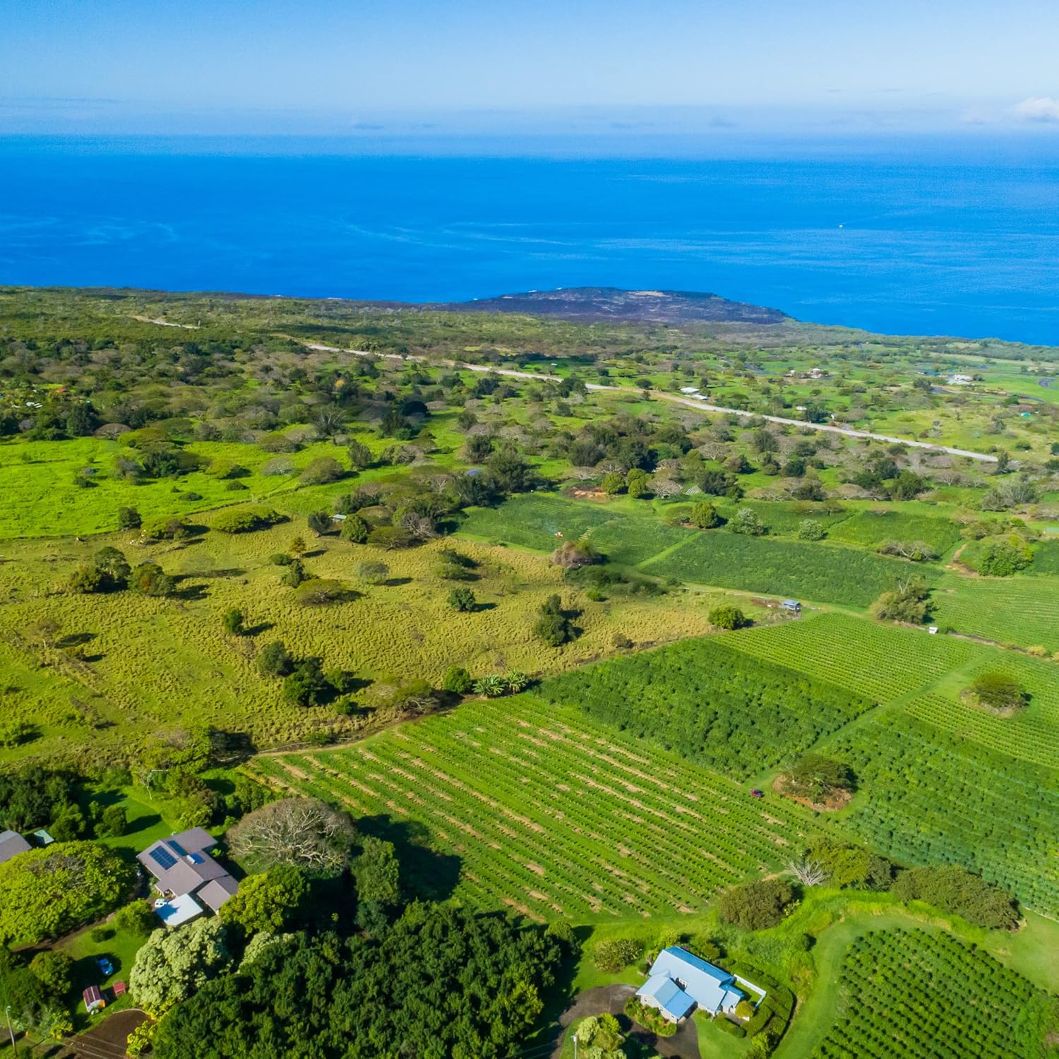 Greenwell Farms 100% Hawaiian Kona Coffee - French Roast, Whole Bean, 8oz