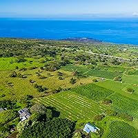 Vista 7 de Greenwell Farms Café 100% hawaiano Kona - tostado medio, grano entero, 8 onzas