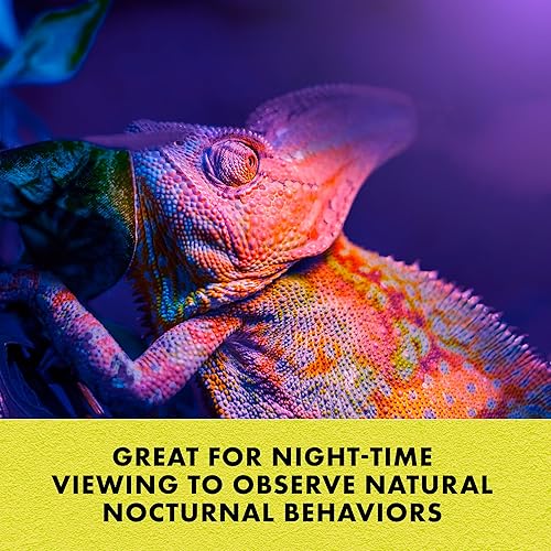 Miniatura 4 de Zilla Bombillas incandescentes color negro nocturno de 100 vatios