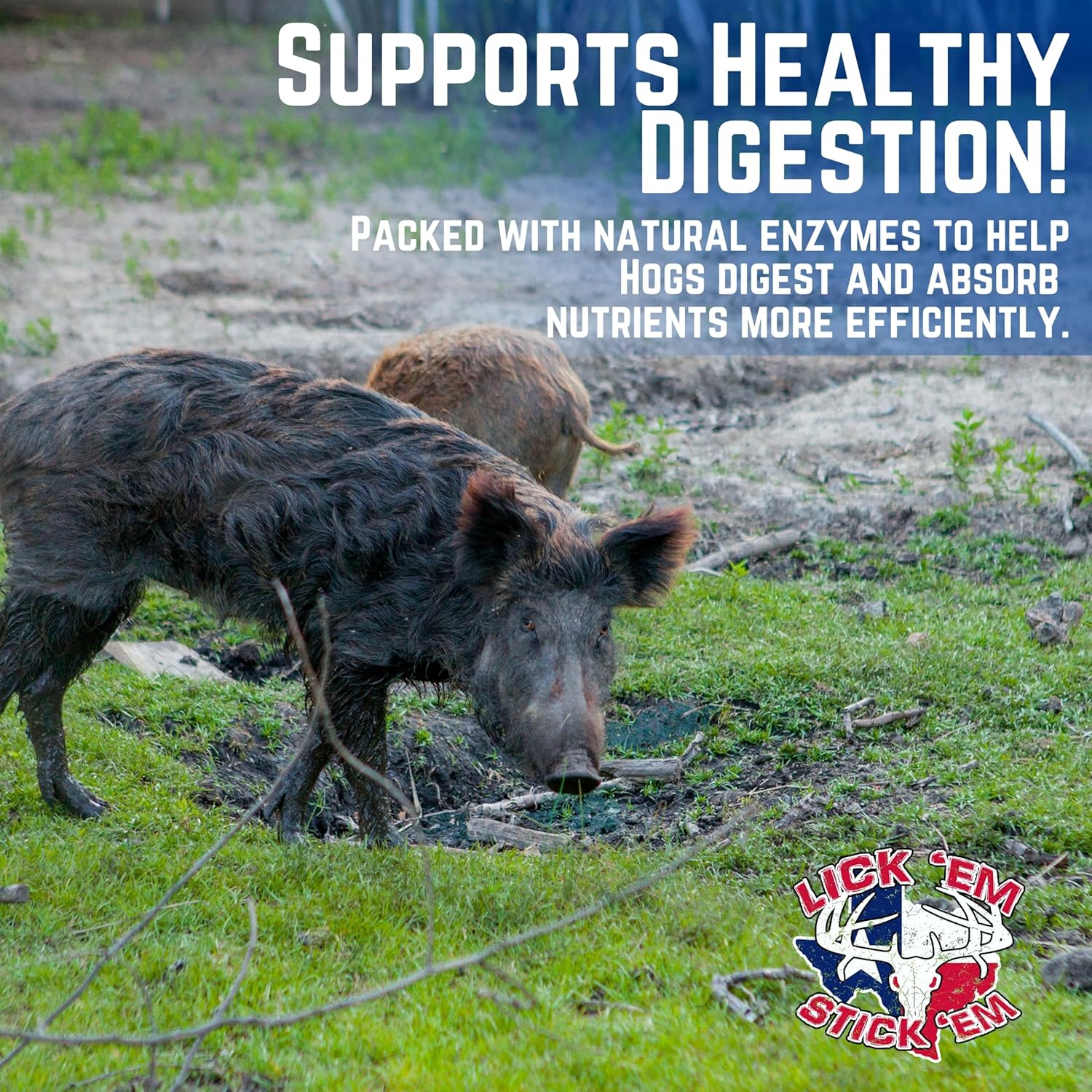 Lick'Em Stick'Em Pig Nasty 4lb Hog Attractant for Wild Boar & Hog Hunting | Sweet Scent, Granular Formula for Feeders & Bait Sites | Supports Digestion & Wildlife Health | 4lb Bag