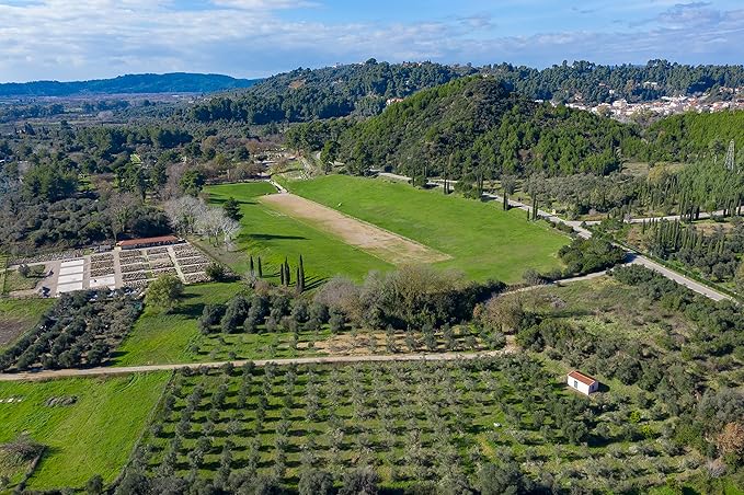 The Olive Temple Aceite de Oliva Extra Virgen Saborizado 250 ml miniatura 4