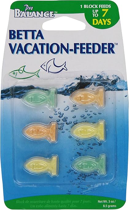 betta fish vacation