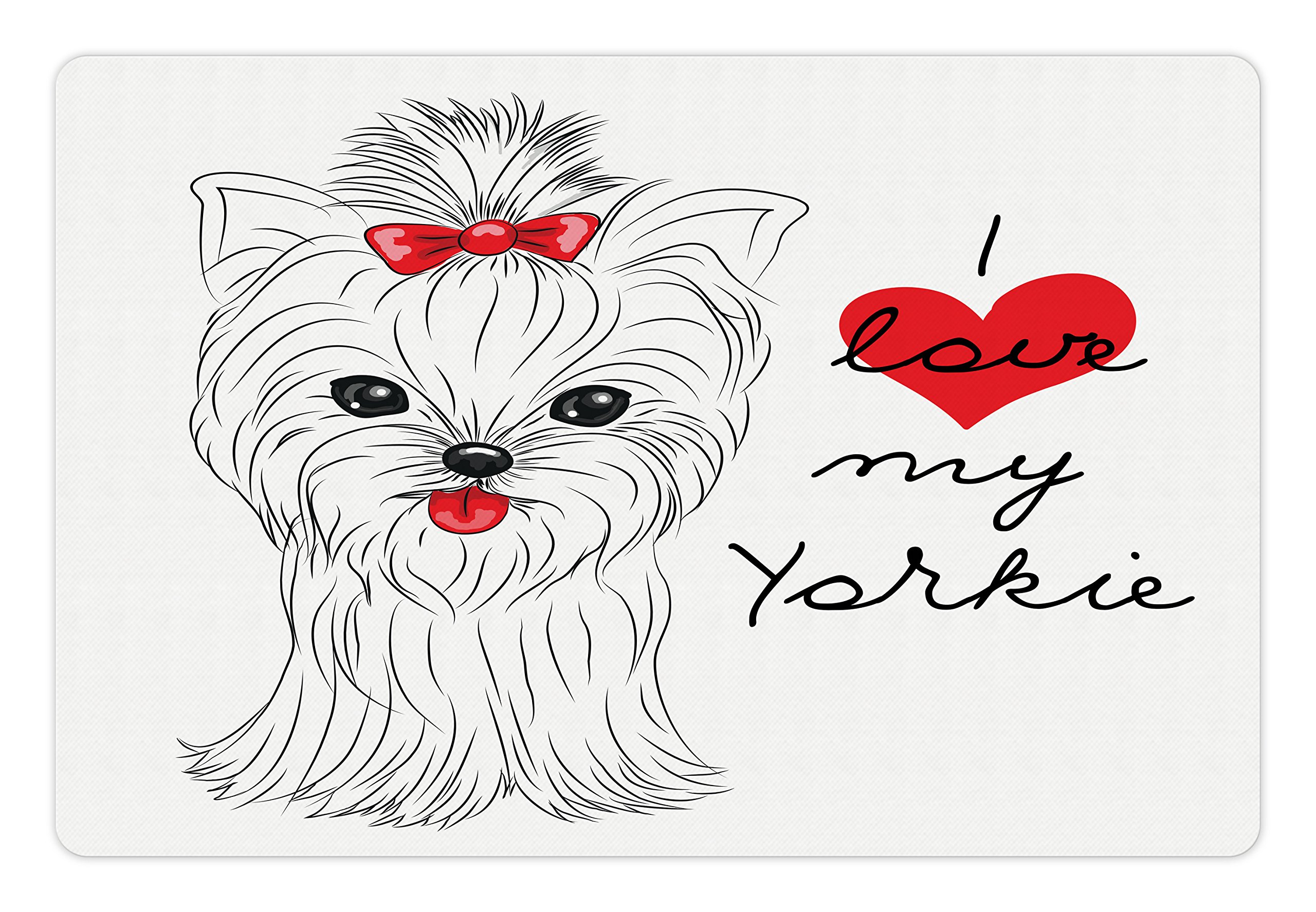 Why Is My Yorkie So Thirsty