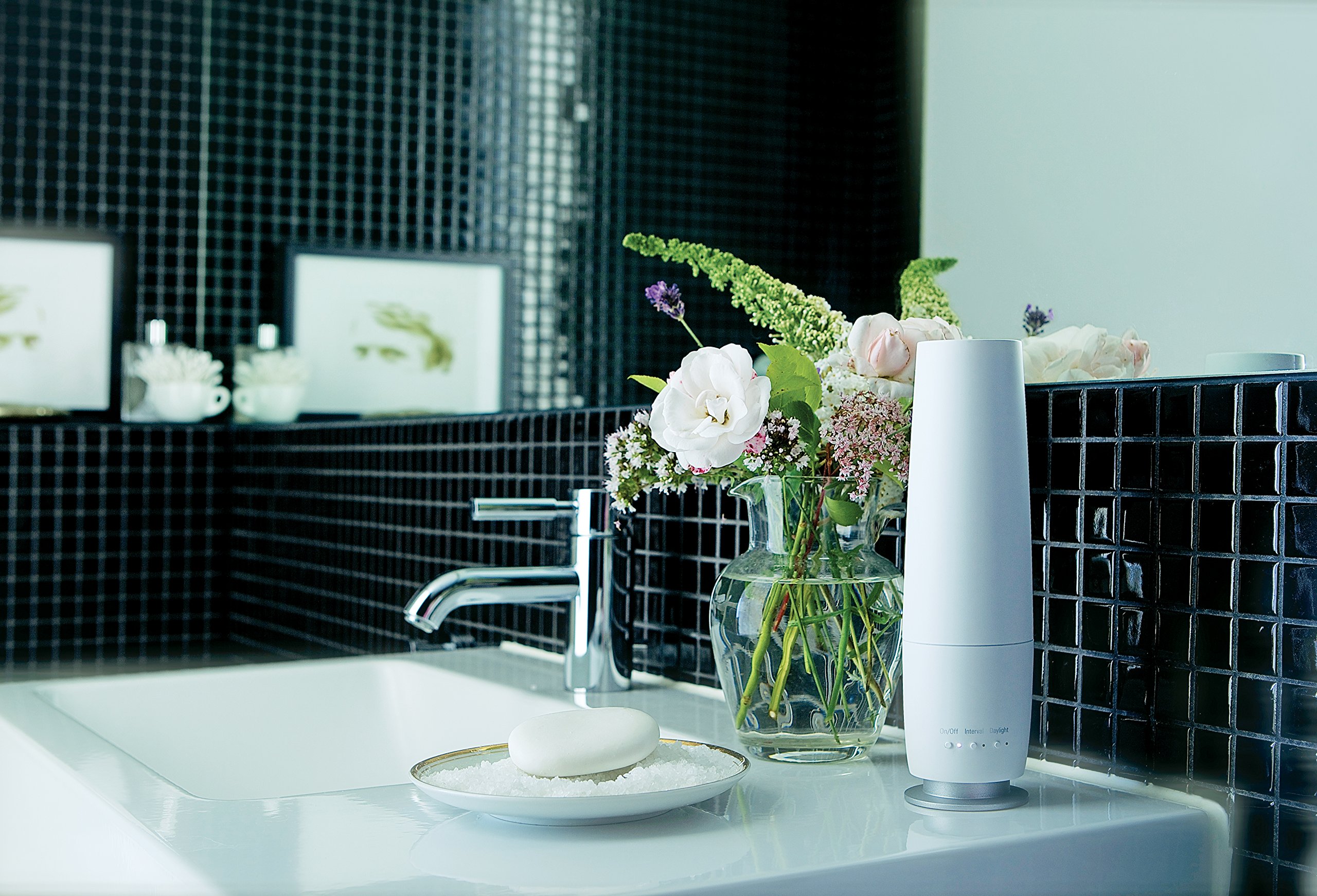 Amazon.com: Stadler Form LEA Aroma Diffuser - Berry : Health