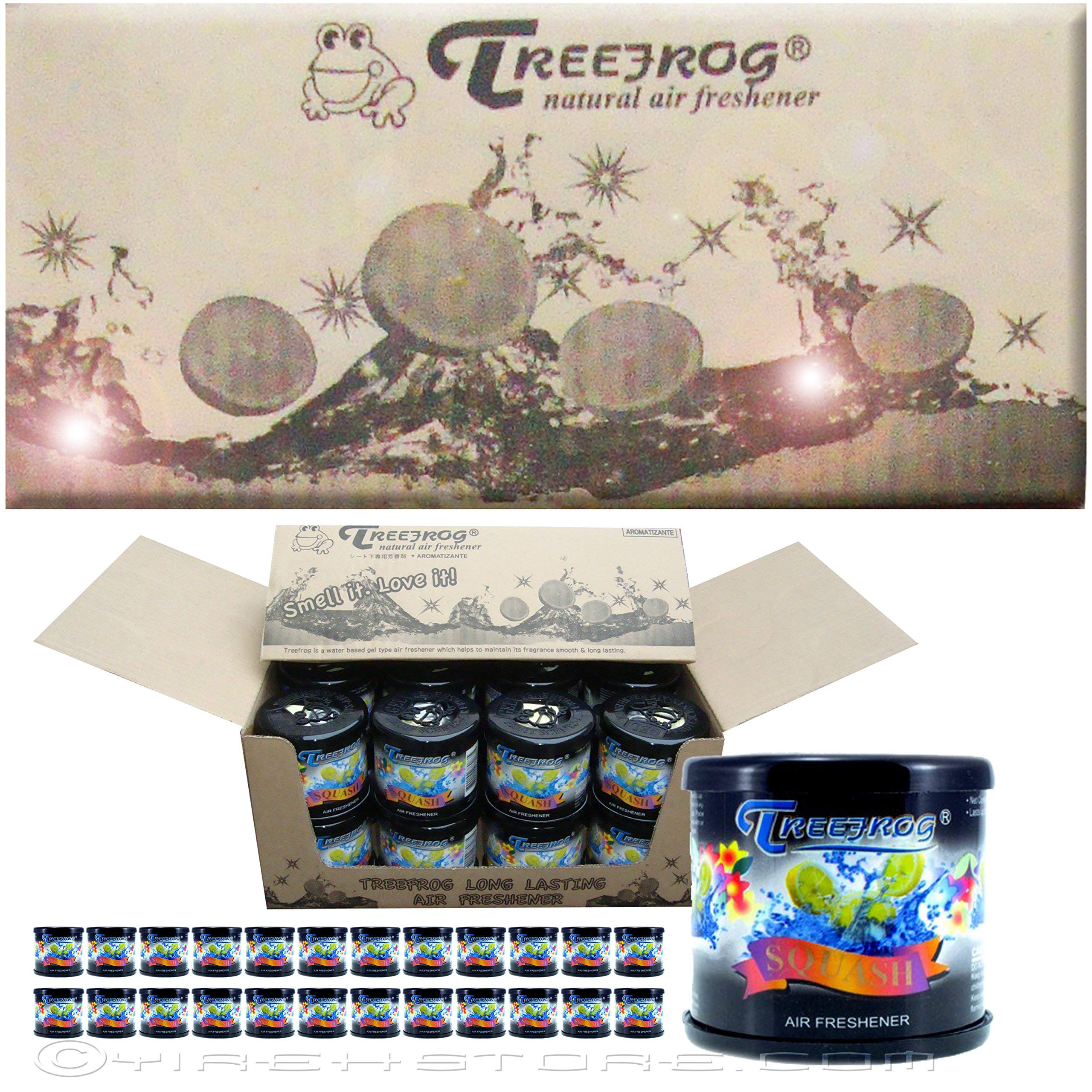Amazon.com: Treefrog 24-Cans Classic Air Freshener - Squash Scent