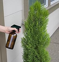 Vista 5 de Youngever 4 Pack 16 Ounce Empty Glass Spray Bottles, Refillable Container for Essential Oils, Cleaning Products, or Aromatherapy, Trigger Sprayer