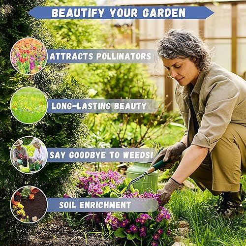 Miniatura 5 de Más de 1000 semillas de flores perennes pintadas de margaritas arcoíris para plantar al aire libre, semillas de jardín de flores de crisantemo