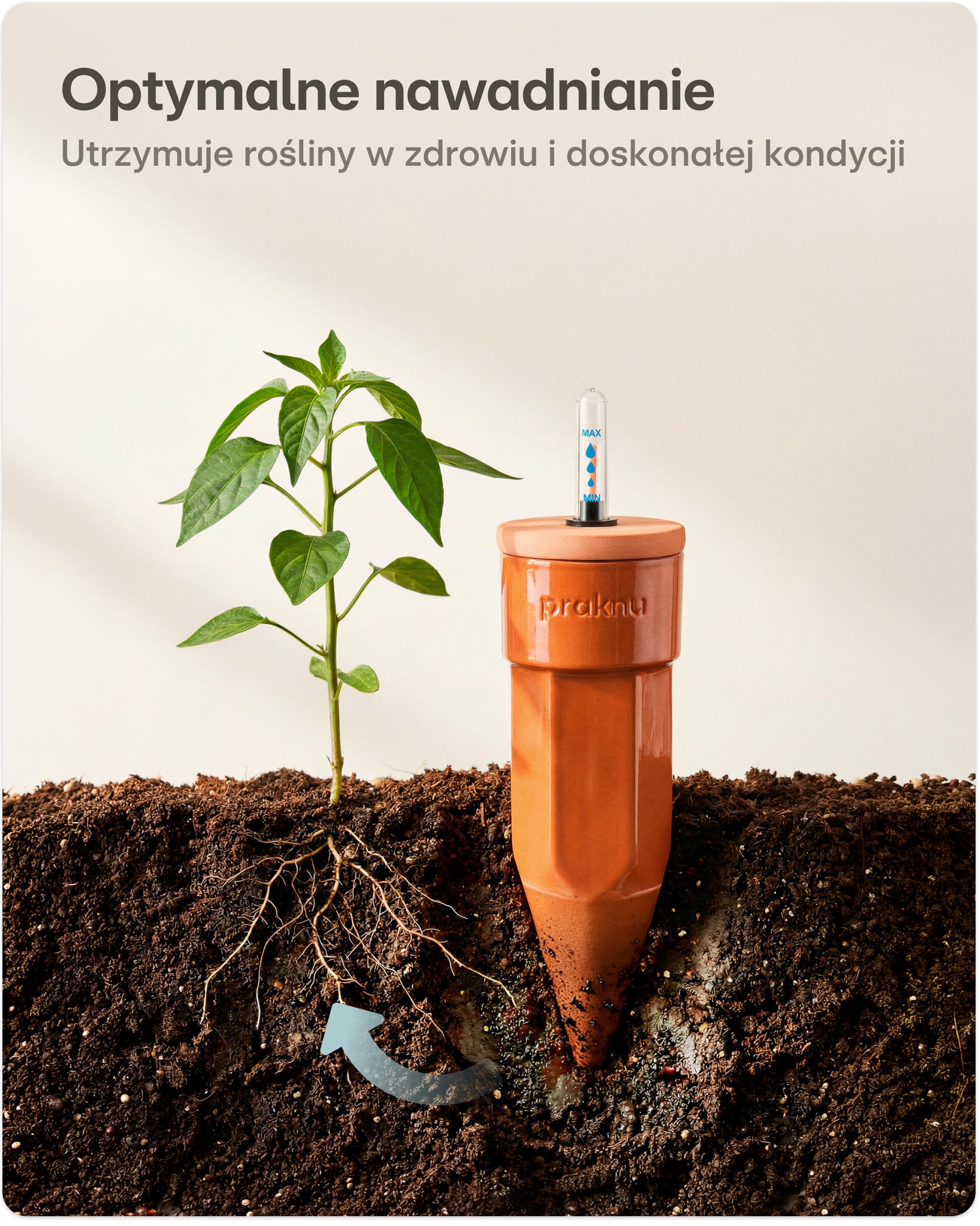 Praknu 3 x Stożki Gliniane do Nawadniania z Pokrywką i Wskaźnikiem Poziomu Wody – do 10 Dni Automatycznego Podlewania – Łatwe Czyszczenie – Dozownik Wody na Czas Urlopu | Łatwe czyszczenie, automatycznie zasila rośliny pokojowe na urlopie, do użytku w pom