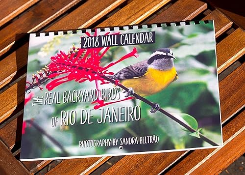 Miniatura 6 de 2018 Wall Calendar (The Real Backyard Birds of Rio de Janeiro)