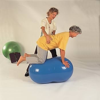 gymnic Physio Roll バランスボール 70cm 楽天市場】ギムニク バランスボール フィジオロール70 70cm