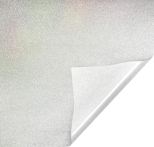 VViViD Dry-Apply - Película esmerilada para ventana con liberación de aire, vinilo de privacidad (16 x 10 pies)