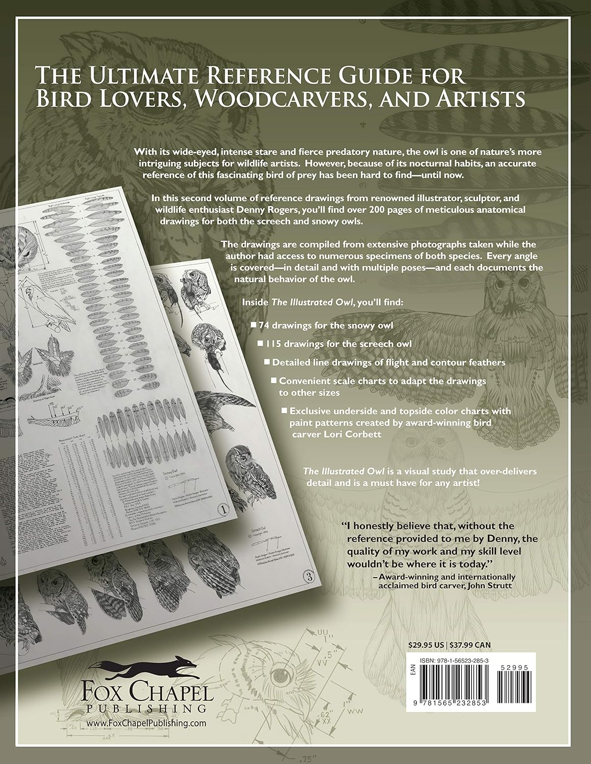 The Illustrated Owl: Screech & Snowy: The Ultimate Reference Guide for Bird Lovers, Woodcarvers, and Artists (Fox Chapel Publishing) Paint Patterns Included (The Denny Rogers Visual Reference Series)