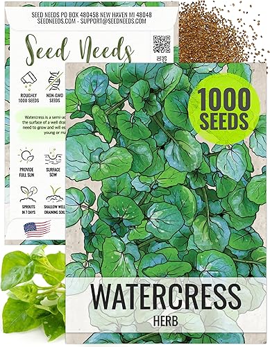 Seed Needs Semillas de berros para plantar Nasturtium officinale - Herencia sin OMG y sin tratar, planta tu propio jardín de hierbas culinarias