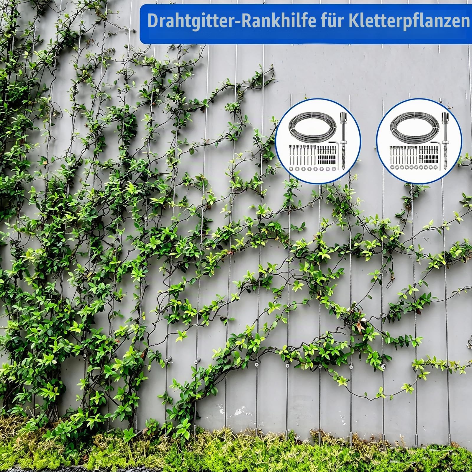 NEWFUN Rankhilfe Metall für Kletterpflanzen, 24M*0.3cm, 16 Halter, Rankhilfe Edelstahl für Kletterpflanzen wie Rosen Weinreben und Tomaten, Kletterhilfe Pflanzen