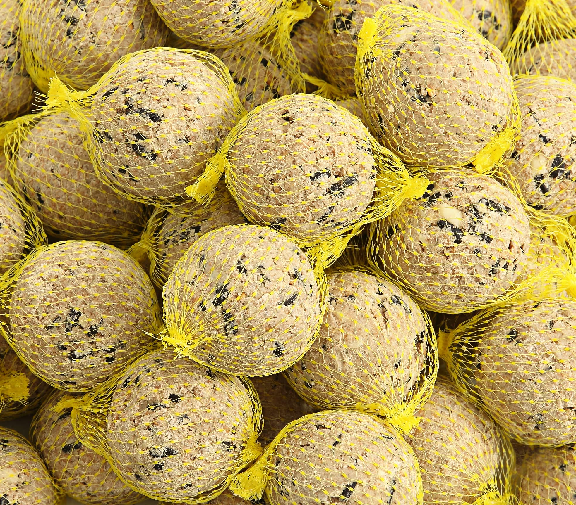 Dehner Natura Lot de 100 Grosses Boules de Graisse avec Filet 100 g 10 kg