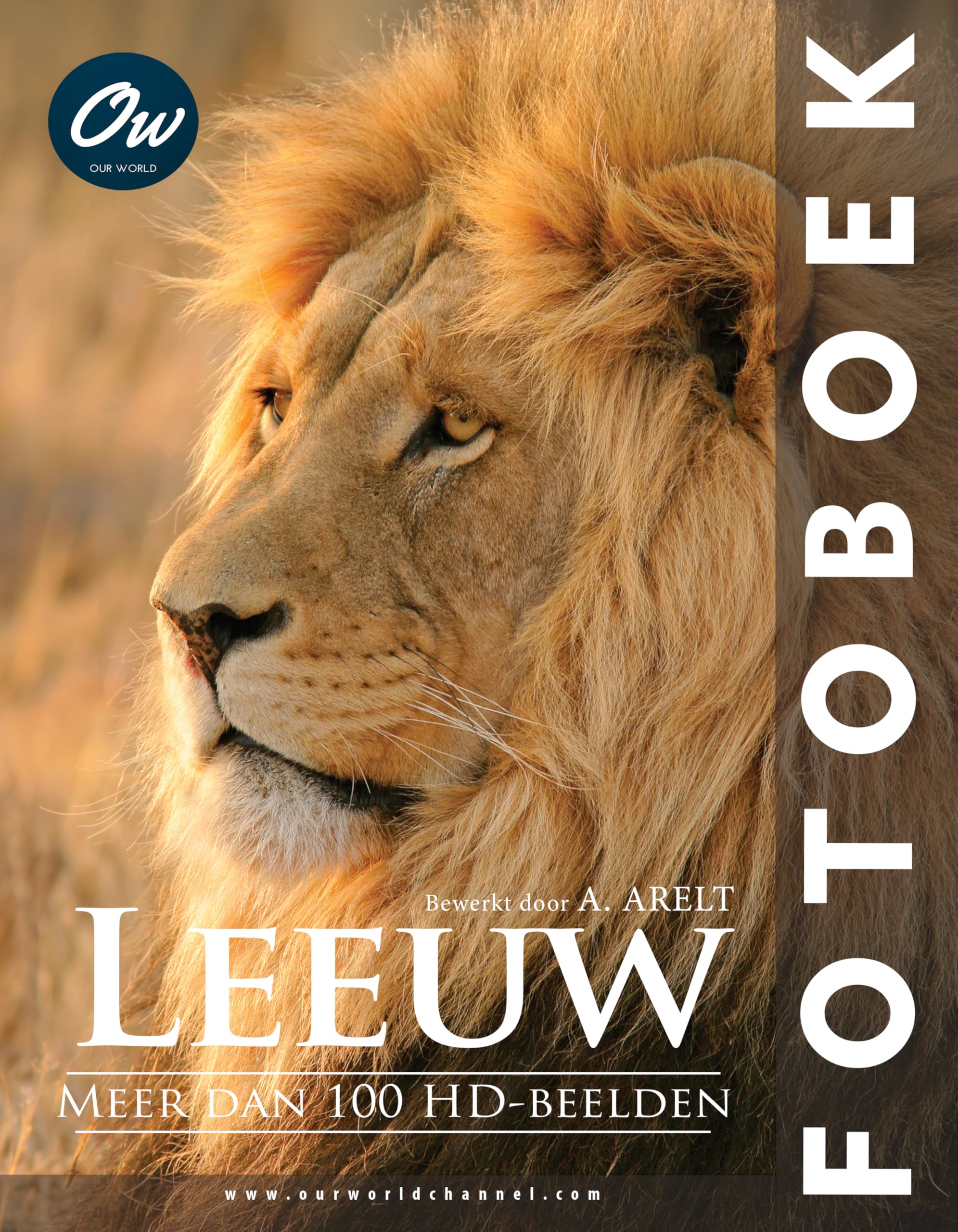 Leeuw Fotoboek livre photographie lion afrique album faune sauvage nature