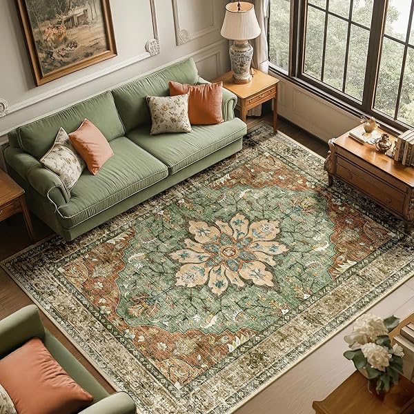 Fresh Green Rug Ideas for Living Room Style 5 Distressed Vintage Medallion Floral Rug
