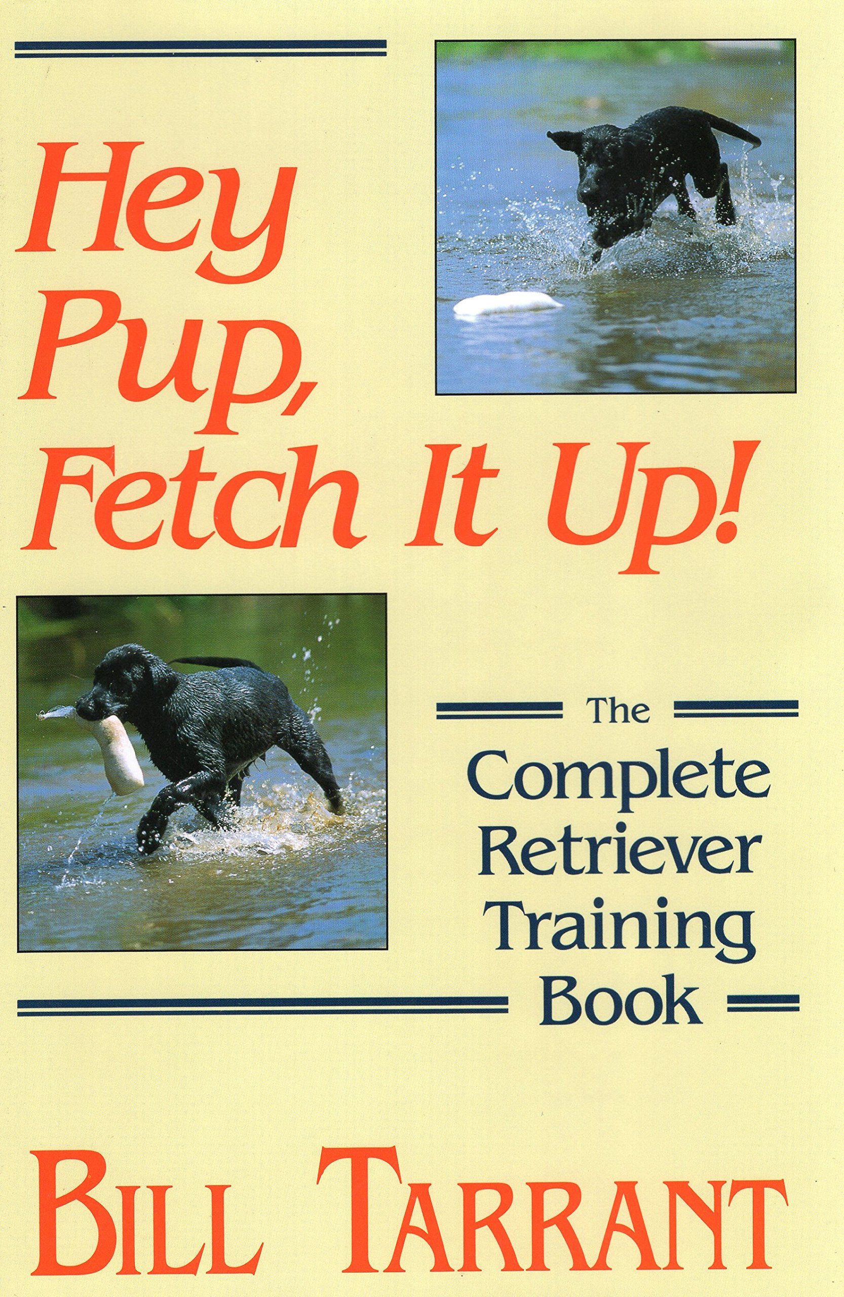 Hey Pup, Fetch it Up: The Complete Retriever Training Book Hardcover – 1 Jun. 1993