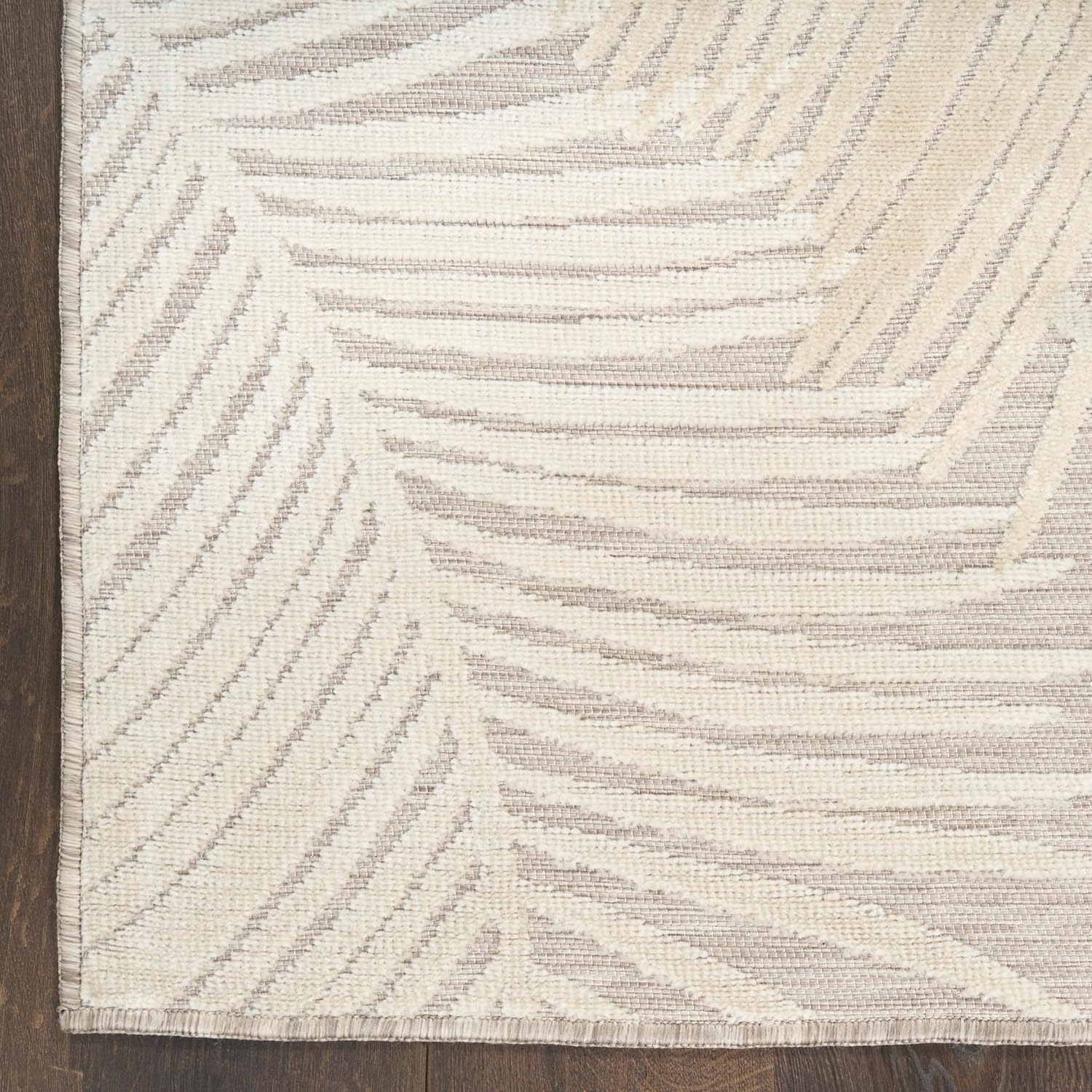 Nourison Home Suncoast Beige 4' x 6' Area Rug - Easy Clean, Non Shedding, Bed Room, Living Room, Dining Room, Kitchen (4' x 6')
