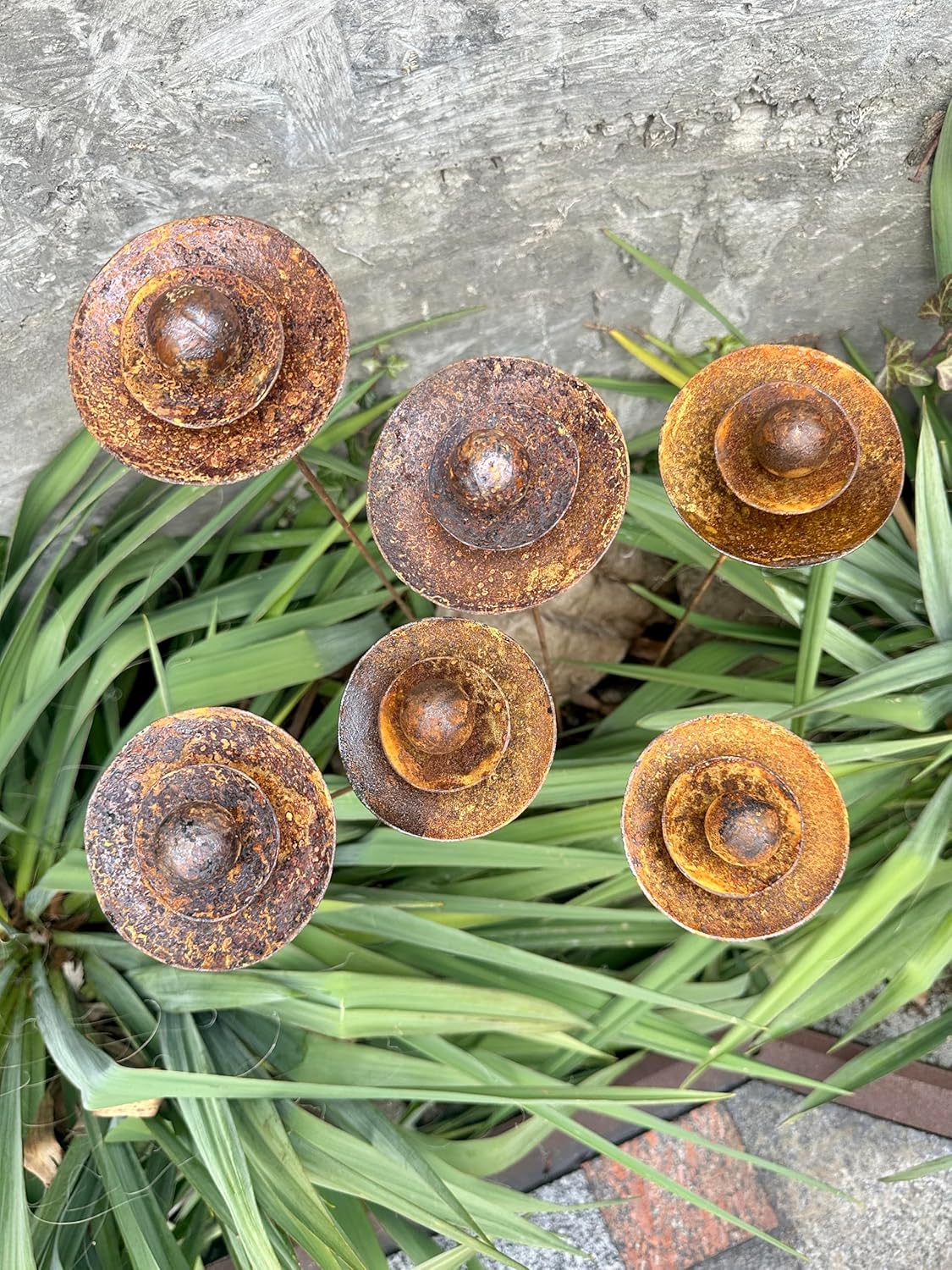 Set of 6 Rusty Metal Flowers, Garden Decorations, Handmade Outdoor Decor for Backyards, Rustic Landscaping, Garden Art, Bee Butterfly Cups