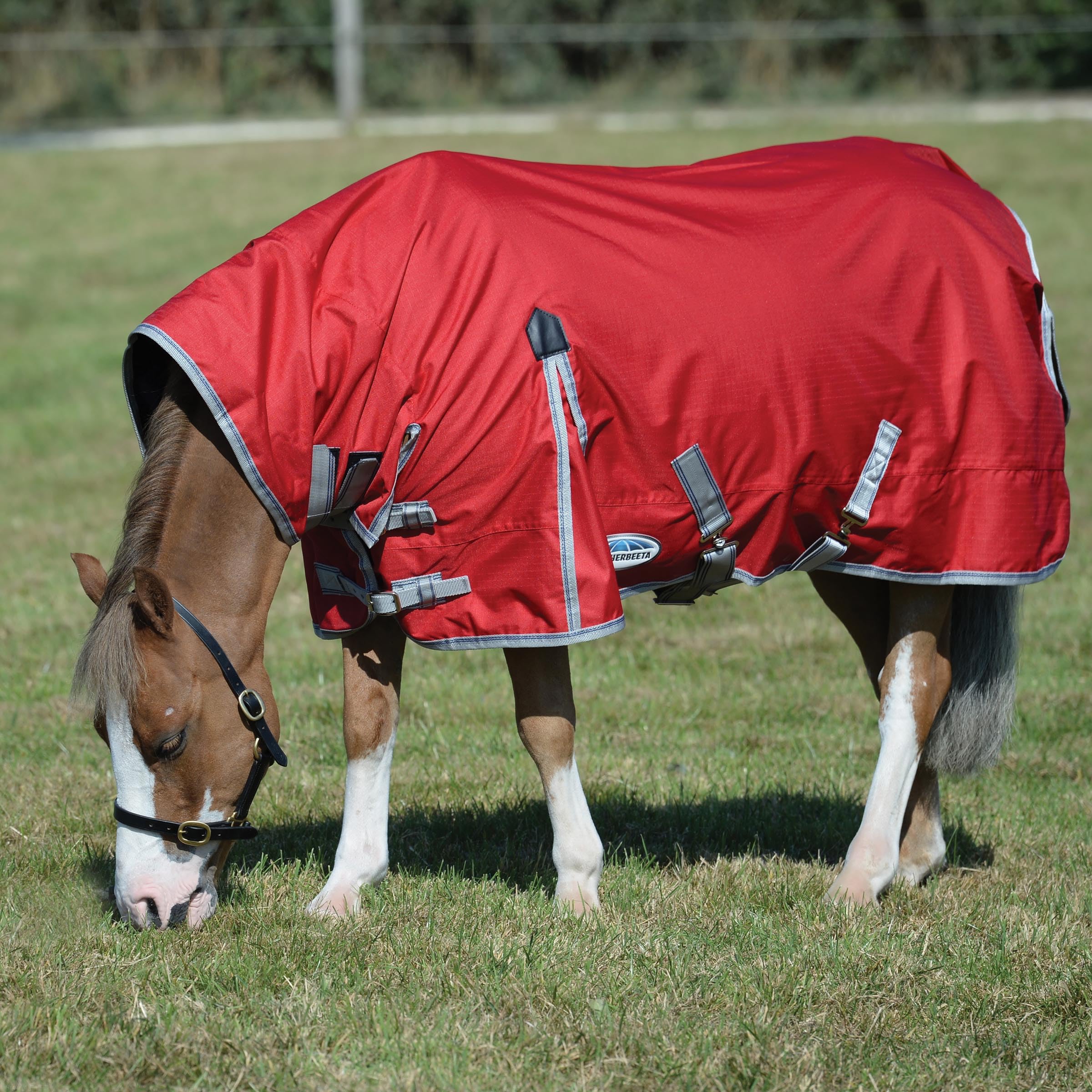 Weatherbeeta, Comfitec Essential, Combinazione di coperta e collare, pesante, Navy/Silver/Red