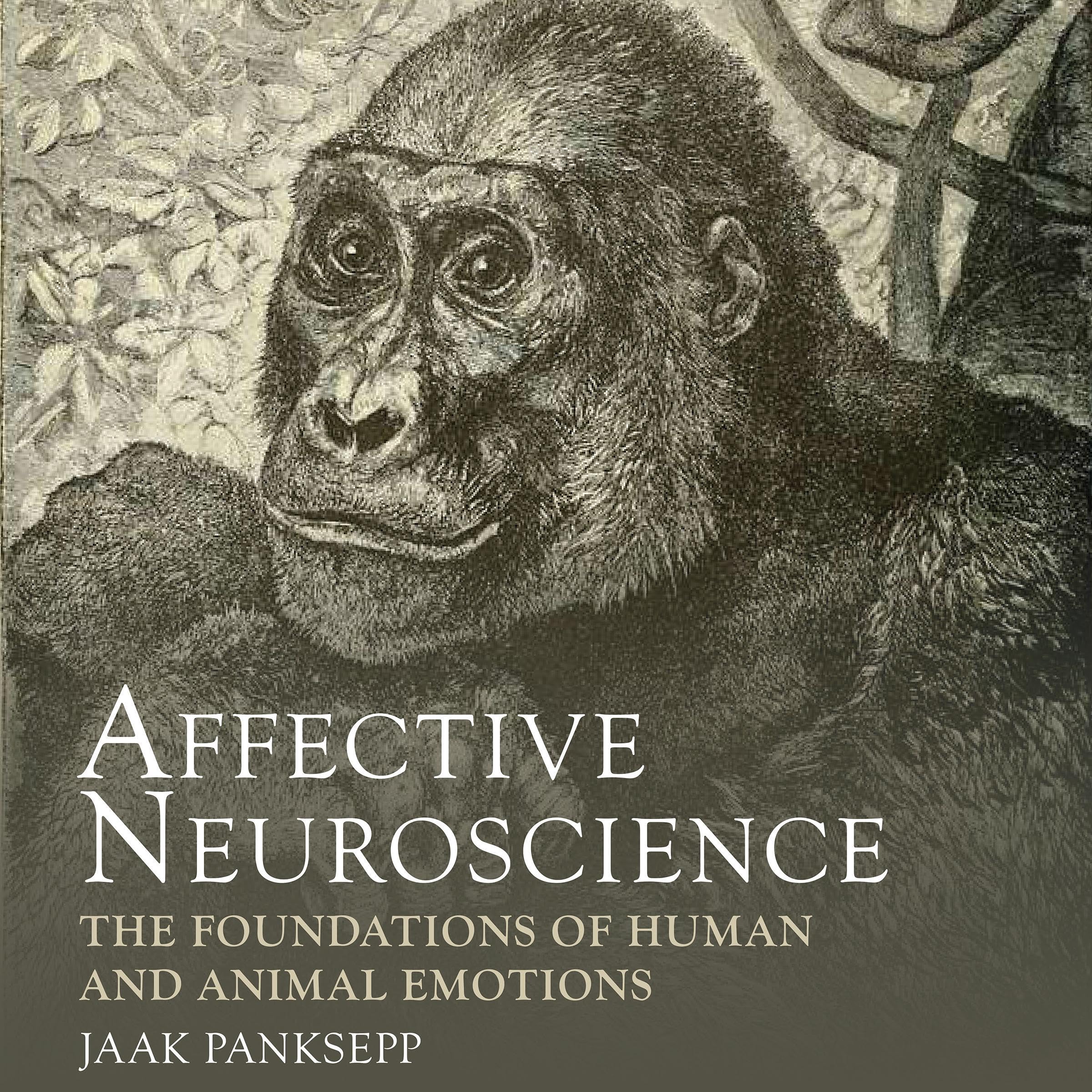 Affective Neuroscience: The Foundations of Human and Animal Emotions