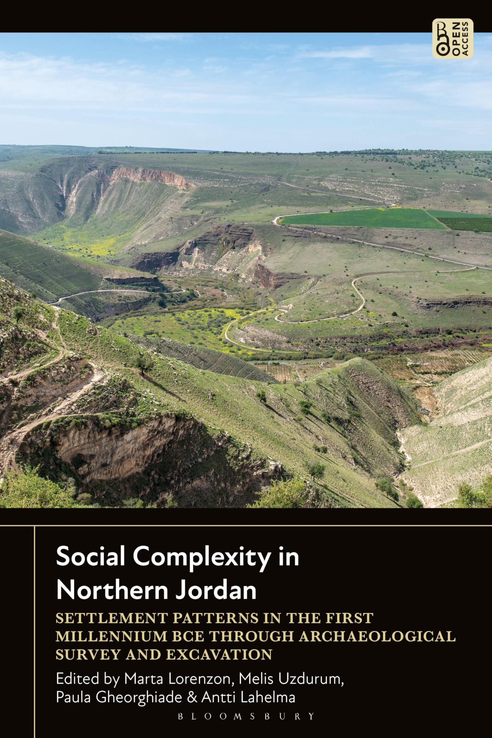 Social Complexity in Northern Jordan: Settlement Patterns in the First Millennium BCE through Archaeological Survey and Excavation