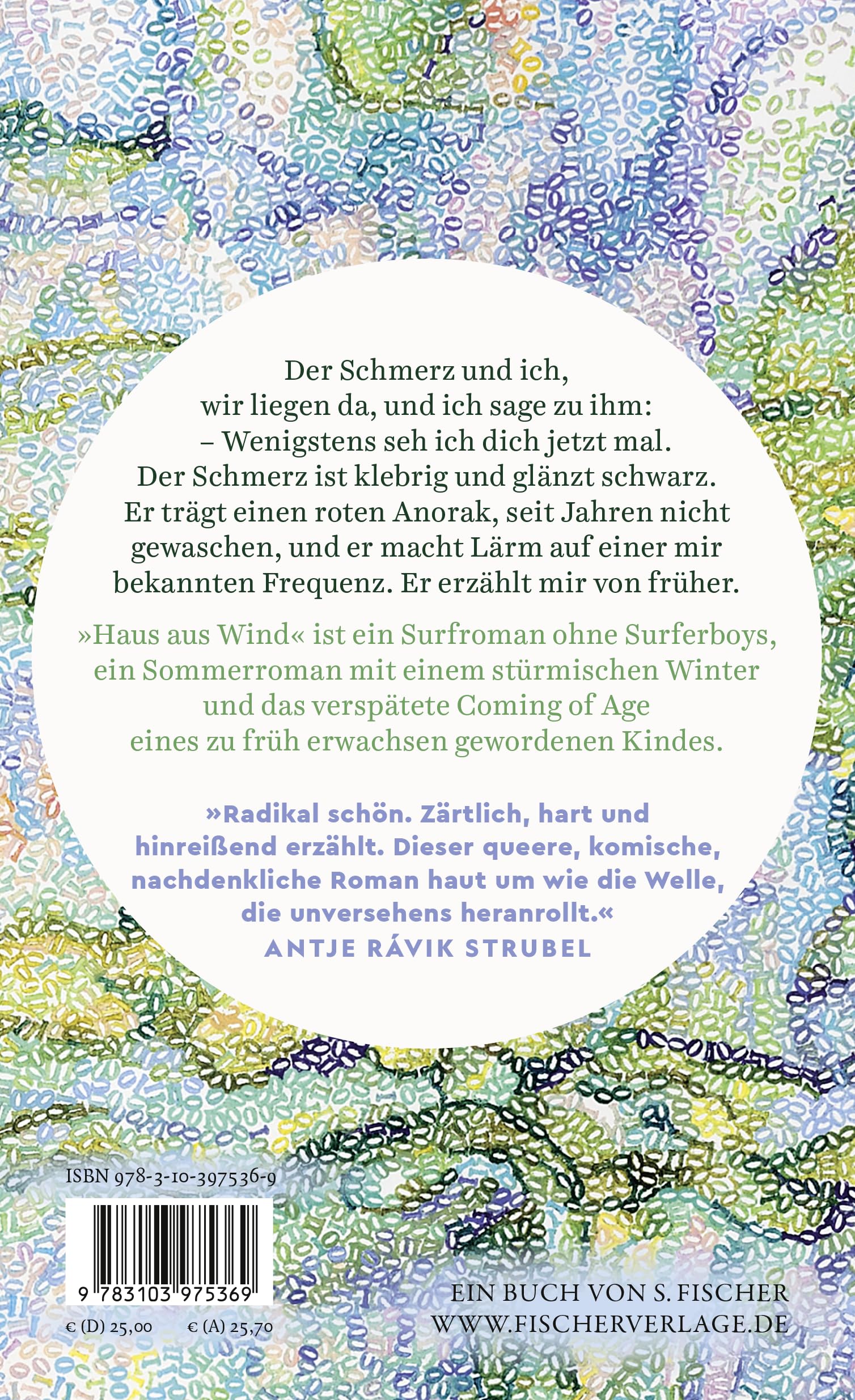 Haus aus Wind: Roman