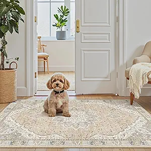 Madane Washable Area Rug 2x3, Small Entryway Rug Non-Slip Vintage Door Mat Indoor Entrance, Low Pile Floor Carpet for Inside Front Door Bedroom Kitchen Entry Laundry (2'x3', Pink/Gray)