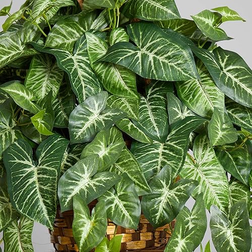 Miniatura 4 de Nearly Natural Cesta colgante de neftitis