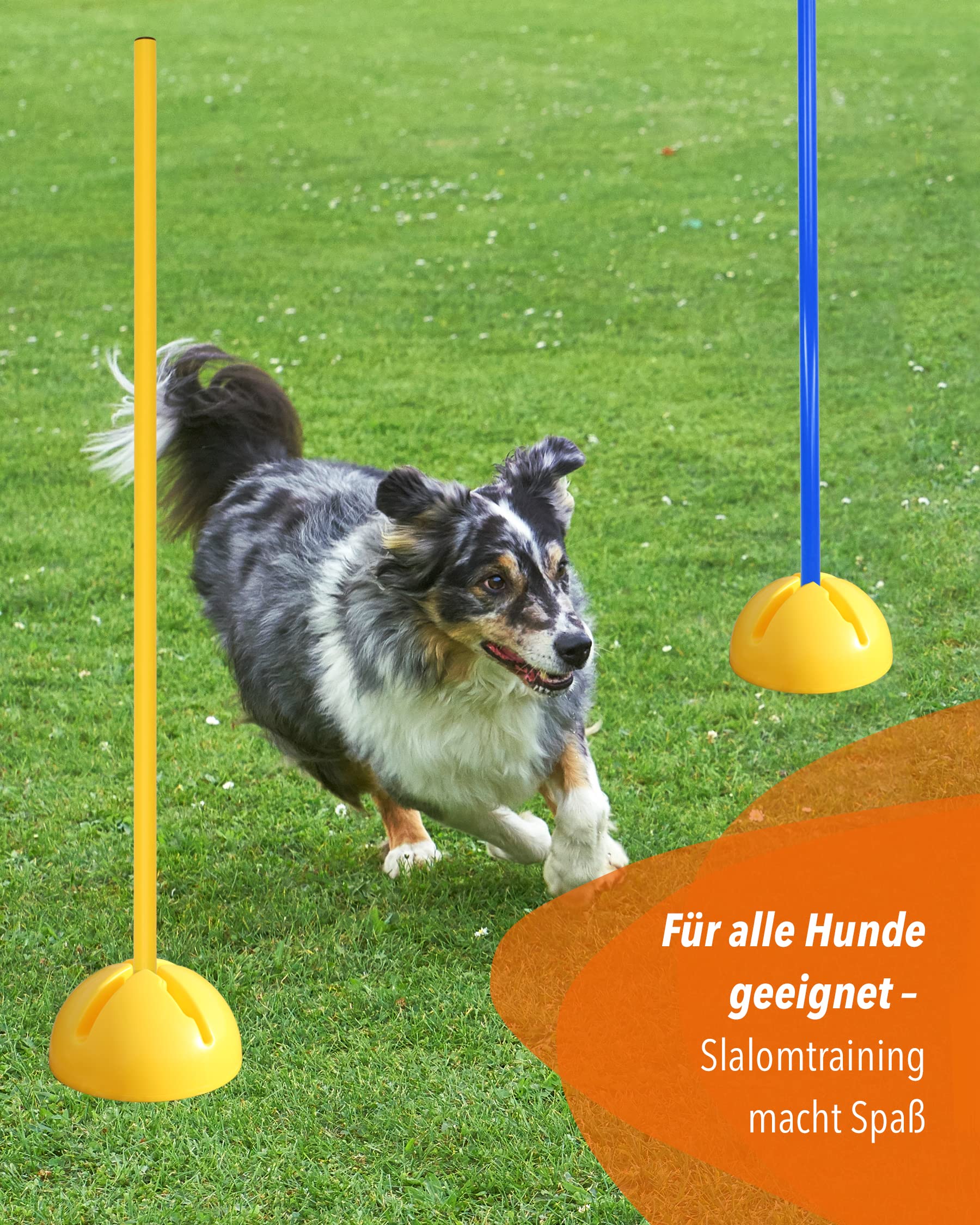 Kombi-X-Standfuß aus Kunststoff & Slalomstange 100 cm – 4er Set – befüllbarer Standfuß – Stange für Slalom & Koordinationstraining – für Fußball & Hundesport – Kreuzfuß
