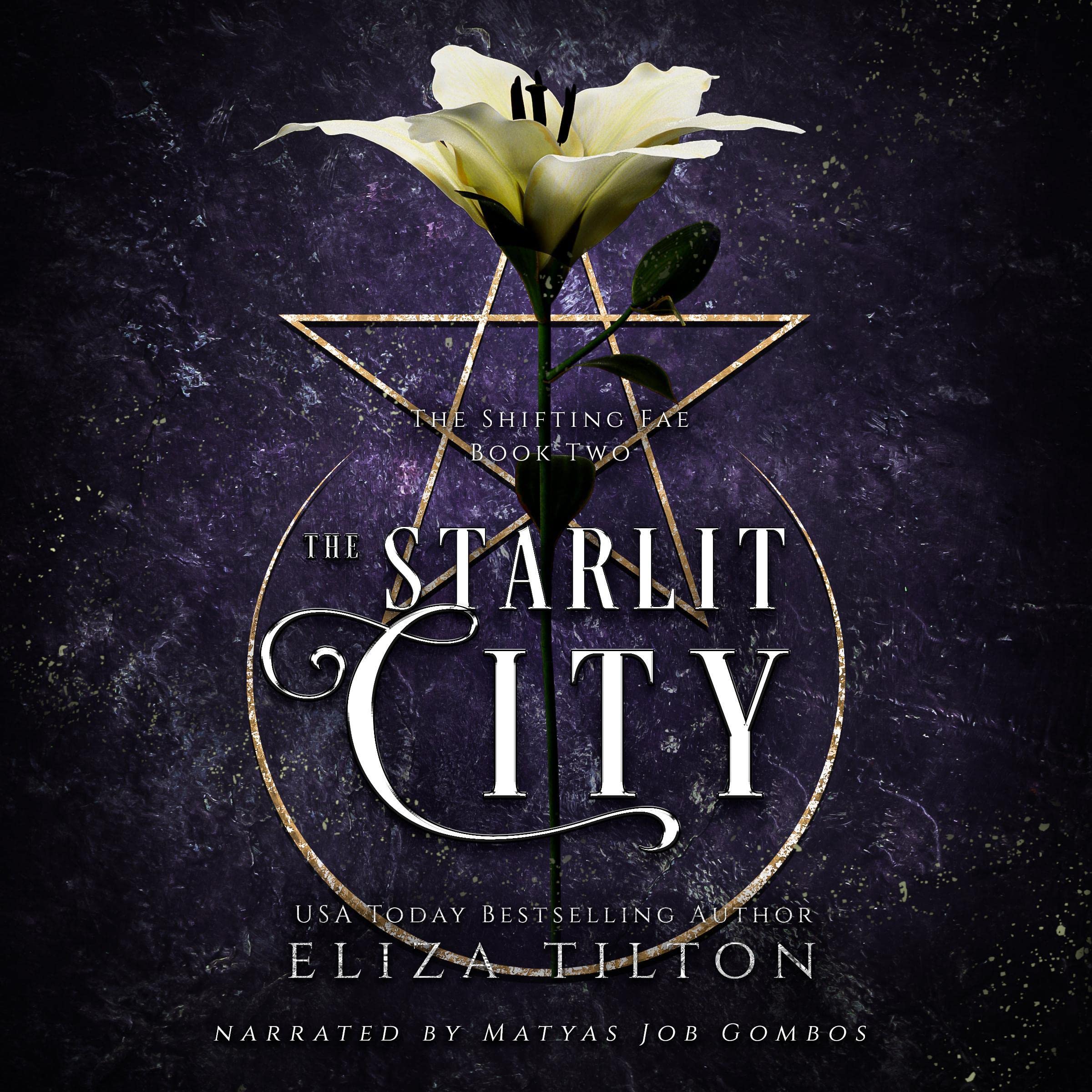 Cover art for The Starlit City