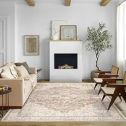 Boho Farmhouse Tapete de quarto lavável, fácil de limpar, resistente a manchas, vintage, rústico, neutro, persa, para sala de jantar, embaixo da mesa, marrom claro bege com estampa de