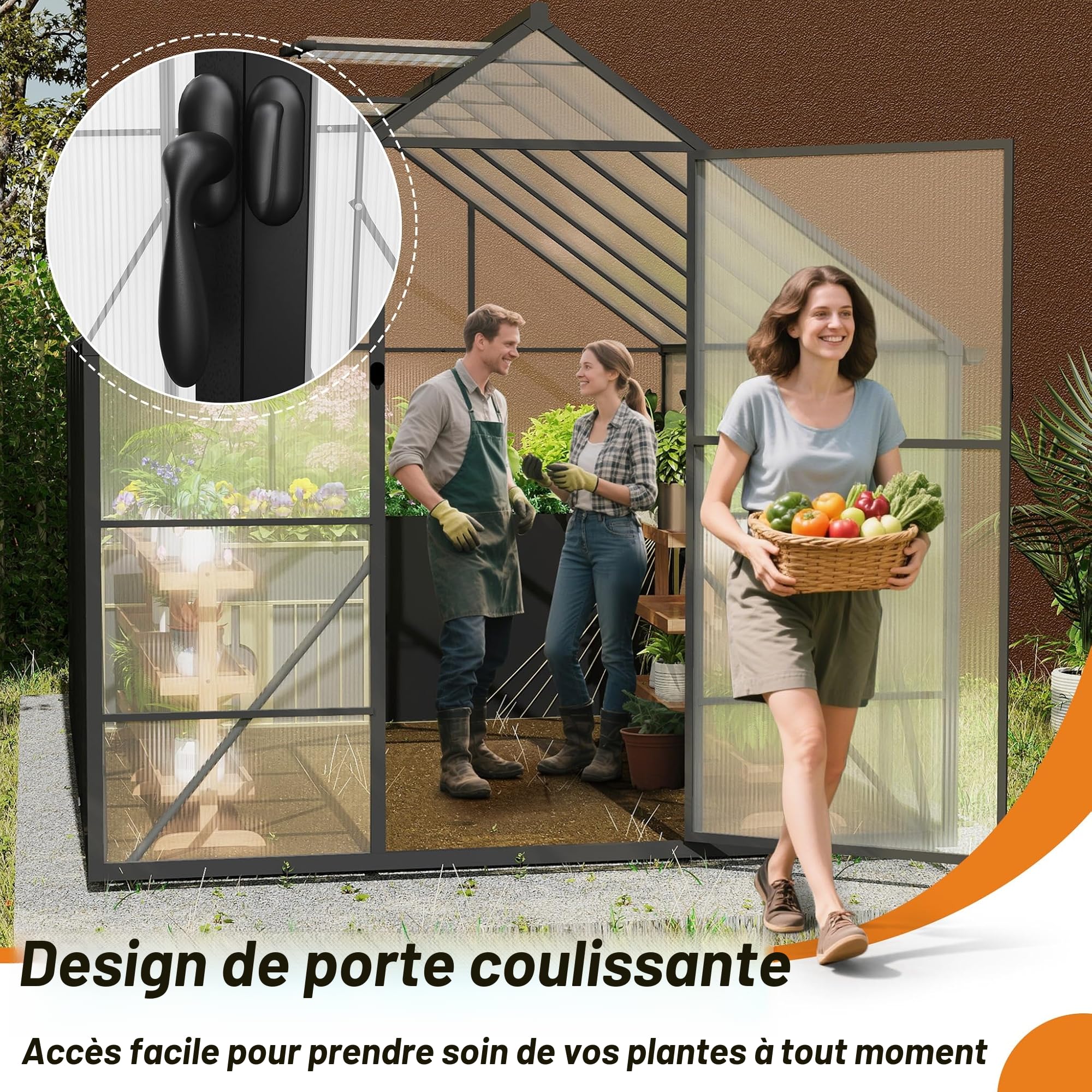 Serre en Aluminium avec PC Panneaux Transparent, Lucarne, Porte et Fondations, 335x170x195cm Hivernage Tente de Jardinage Accessible, Pépinière de Culture pour Jardin et l'extérieur