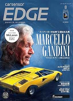 ガンディーニ デザインポスター 額付き 91mRlxEcRRL._UF350,350_QL50_.jpg