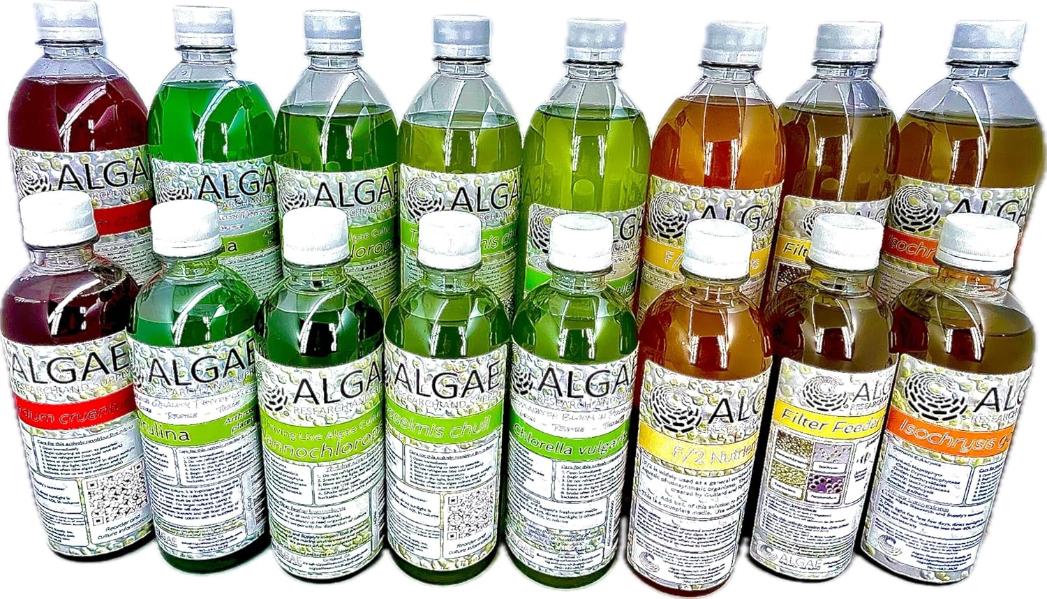 Algae Research Supply Nannochloropsis, Perfect for School Science Fairs/Projects, Experiments & Classrooms (1L)