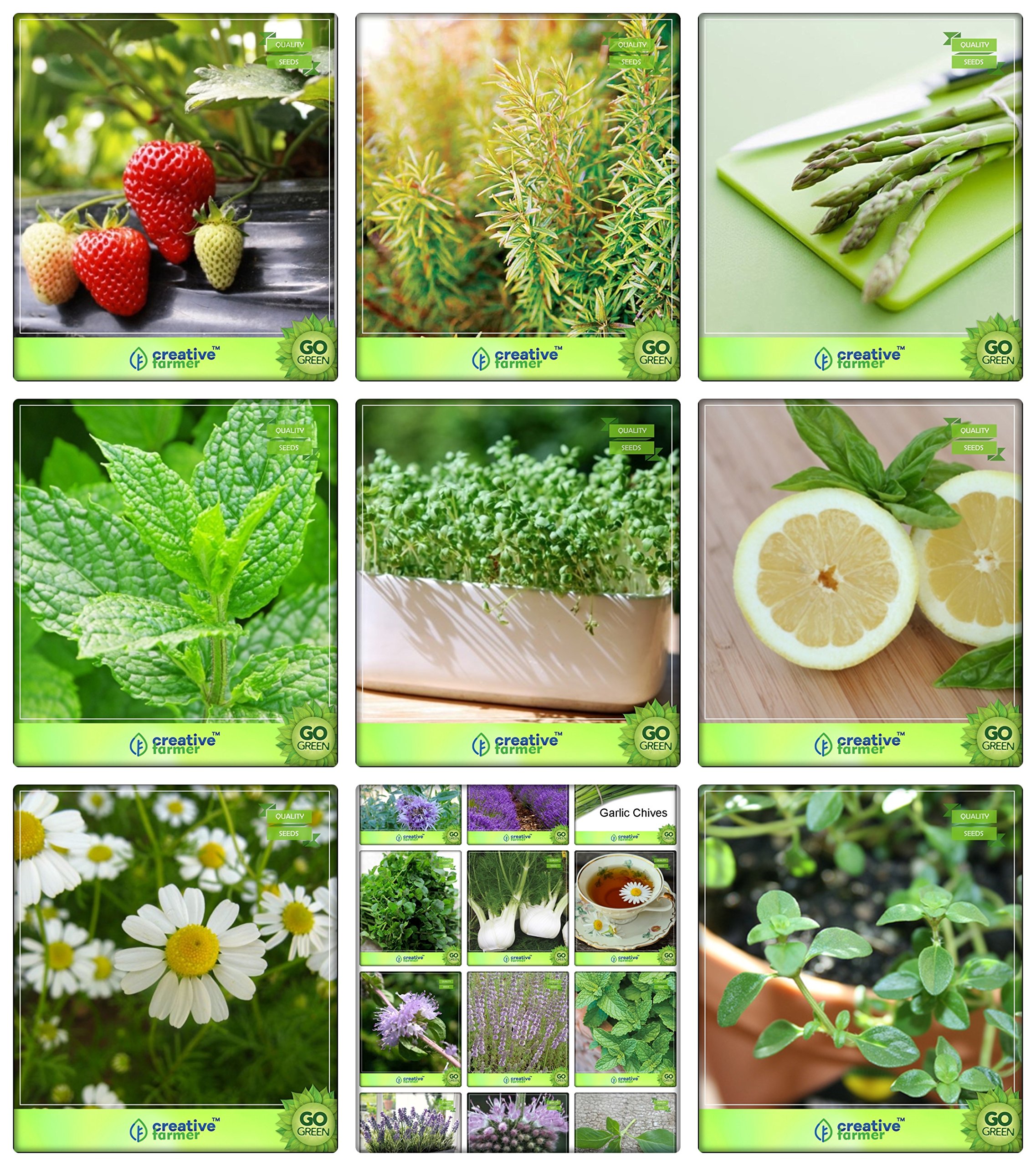 Creative Farmer Combo Herb Seeds Alpine Strawberry, Rosemary, Asparagus, Mint, Cress Common, Lemon Basil, German Chamomille, Wild Rocket, Thyme English Winter Herb Seeds Combo Pack (B078V3R1RX) Amazon Price History, Amazon Price Tracker