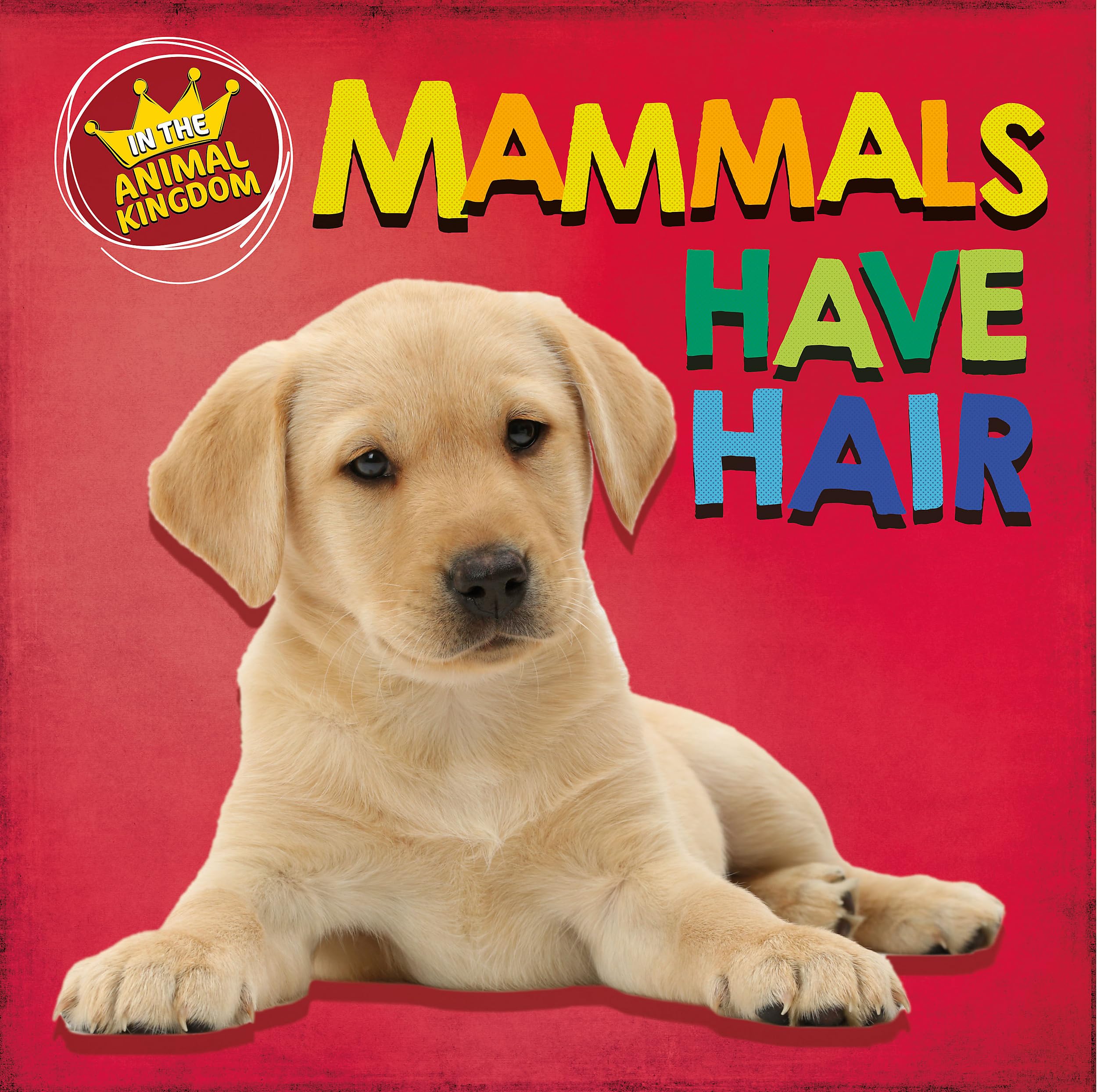 Mammals Have Hair (In the Animal Kingdom)