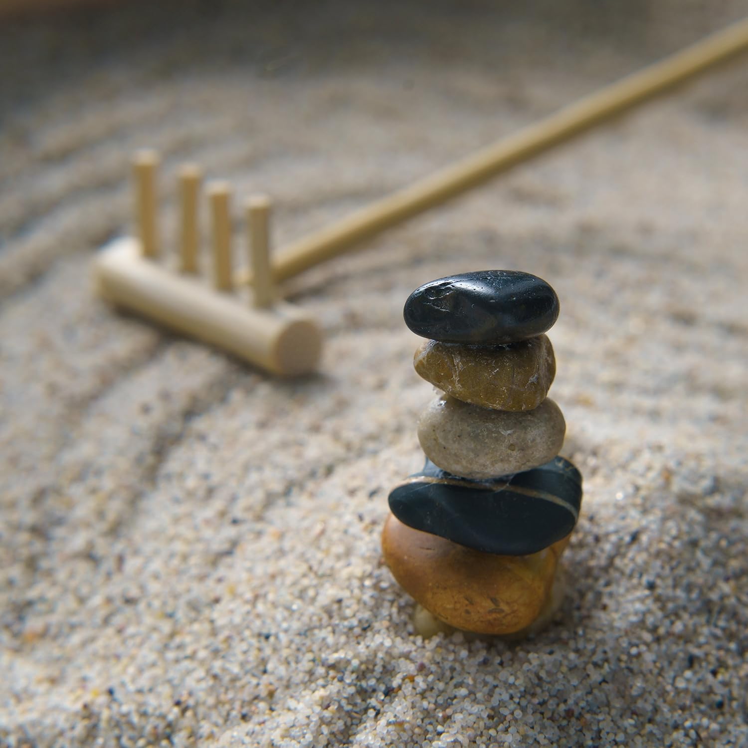 Mini Zen Garden Sandbox - Miniature Beach Zen Garden for Desk - Sand Tray Play Kit for Kids, Adults, Office - Desk Sand Box Gift Set with Natural Sand, Wooden Tray, Lid, Rakes, Rocks and Accessories : Toys & Games