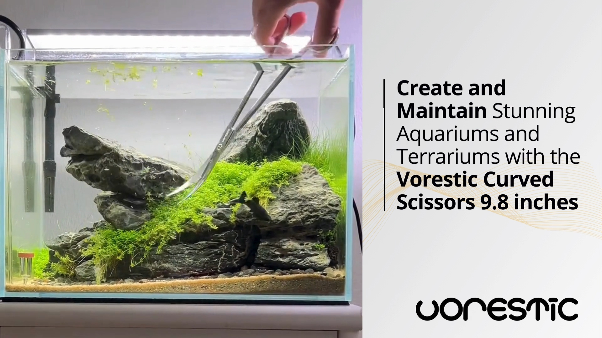 Amazon.com : VORESTIC Long Aquarium Scissors for Plants 9.8 inches
